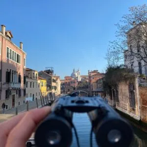 IN THE BELLY OF THE FISH - Treasure hunt for families around the "Sestiere" of Dorsoduro